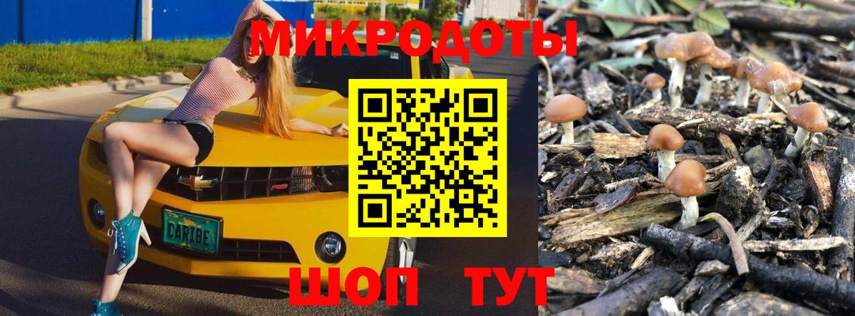 Алатырь  купить   Вход с VPN  Галлюциногенные грибы Psilocybine cubensis  Галлюциногенные грибы прущие грибы 