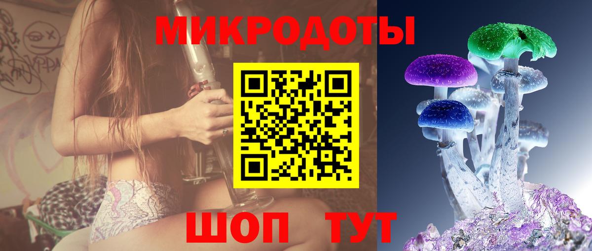 Псилоцибиновые грибы мицелий Алатырь